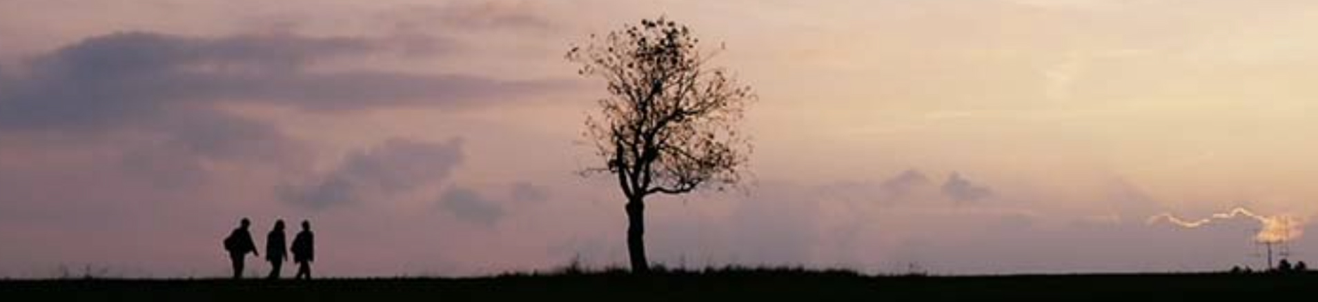 Eva Fleig – film photographer in Germany and Europe