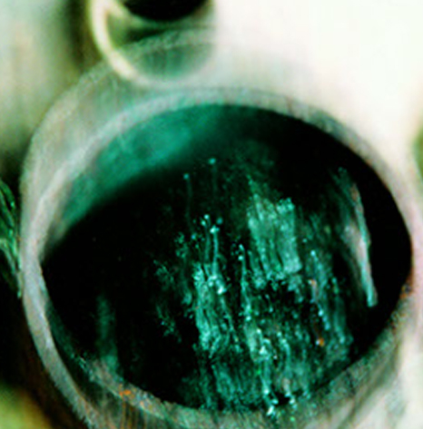 נורמה דרימר-אמנית